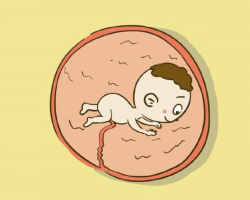 香港验血查男女价格,为第四代试管婴儿“正名”：并非别人口中的借卵生子
