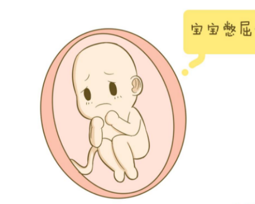 香港验血合法性,吃素多年，备孕一直怀不上孩子，难道吃素会不孕是真的吗