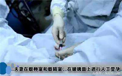 香港验血鉴别胎儿性别价格,试管婴儿全过程（图解），看哭了，真的心疼天下