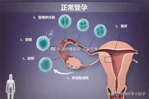 香港验血邮寄一般几天,备孕却怀不上，有可能是输卵管堵塞，尤其是有这三种