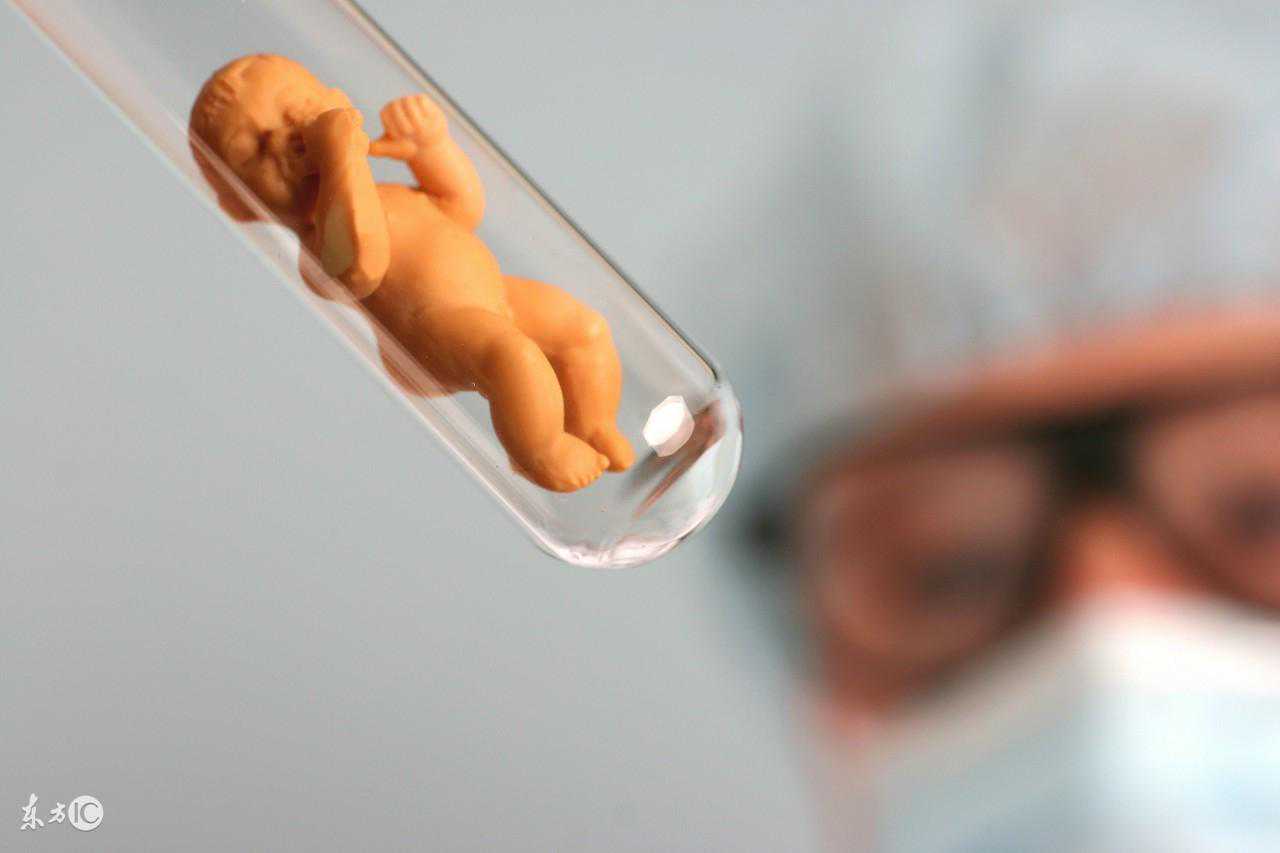 香港胎儿性别验血,试管婴儿移植胚胎质量好，为什么还会不着床？