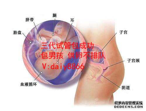 怀孕7周香港验血多少钱_香港妇幼医疗中心验血报告单_需要什么条件!