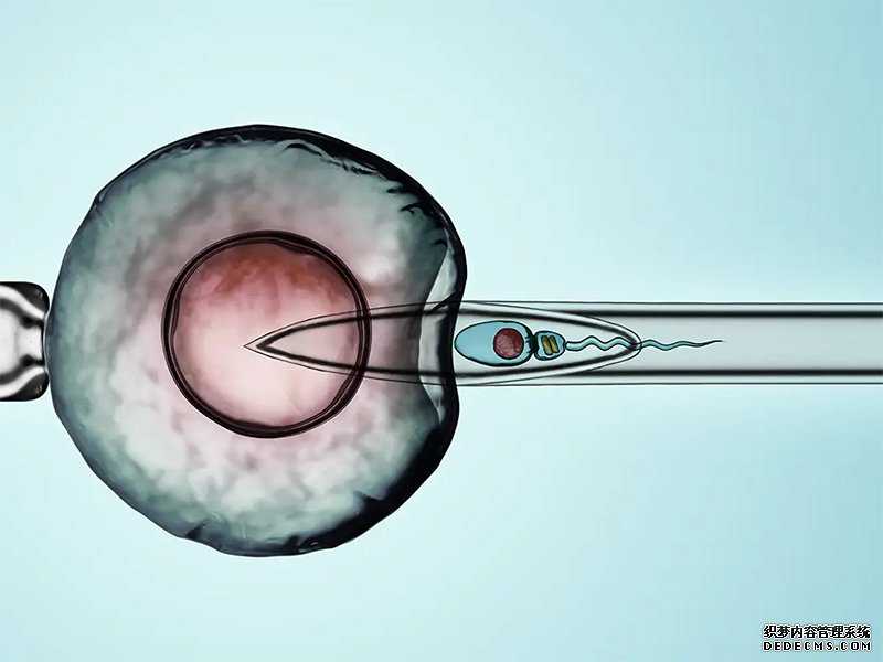 微信香港邮寄验血_香港验血和b超一样是男宝宝,鉴定胎儿性别准确率高吗?