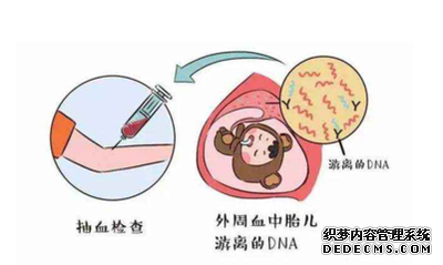 关于香港验血鉴别的合法性_香港验血测男女宝宝是否真的?费用多少?你想了解的