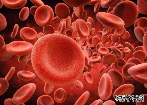 香港验血能得多少钱_安全的香港验血办法权威机构