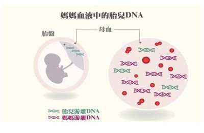 香港 验血 违法_怎么去香港验血检测宝宝的性别呢?
