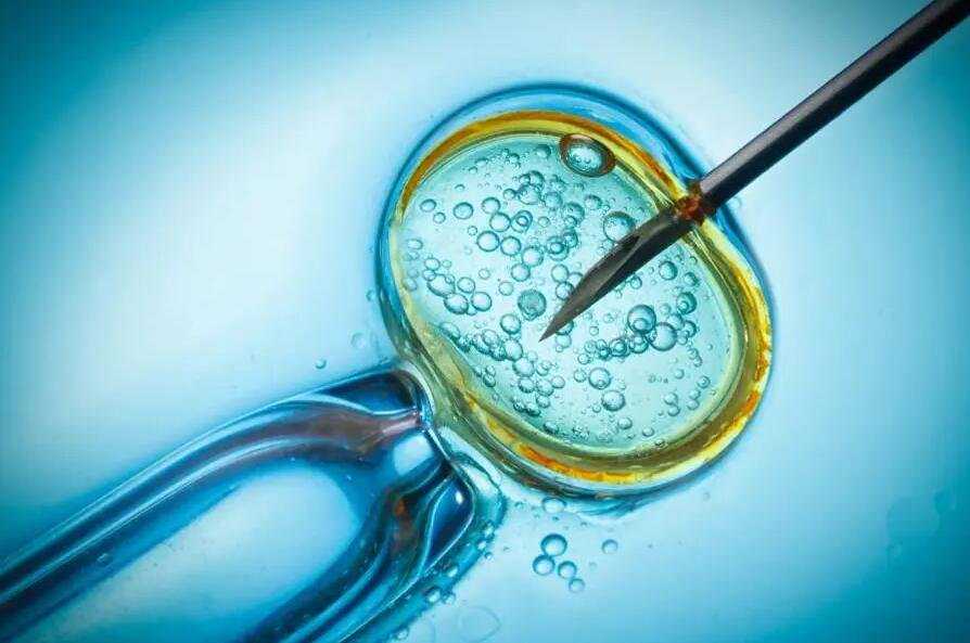 香港dna验血测男女鉴定胎儿性别_定心的基因检测规范威望查验