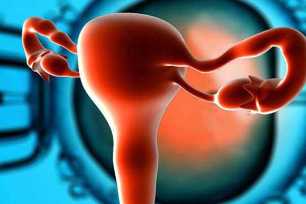 香港验血为什么都是女的,备孕的女性月经量少是不是卵巢早衰
